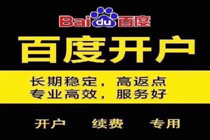 某品牌通过SEM优化公司实现品牌曝光飞跃